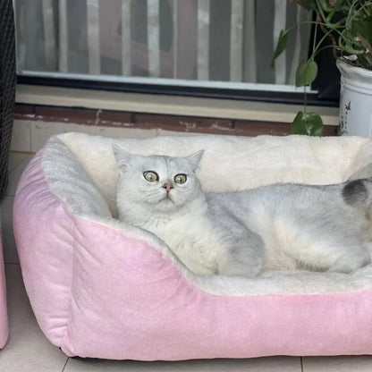 Bed for Cats Pet Products Cushions Kitten Goods Accessories Dog All Home Supplies Things Accessory Habitats Basket House Beds