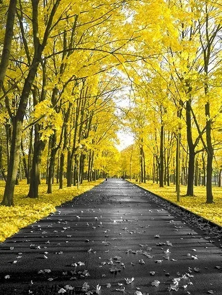 Black and White Europe Landscape Picture Home Decor Nordic Canvas Painting Wall Art Yellow Scenery Posters for Living Room Decor