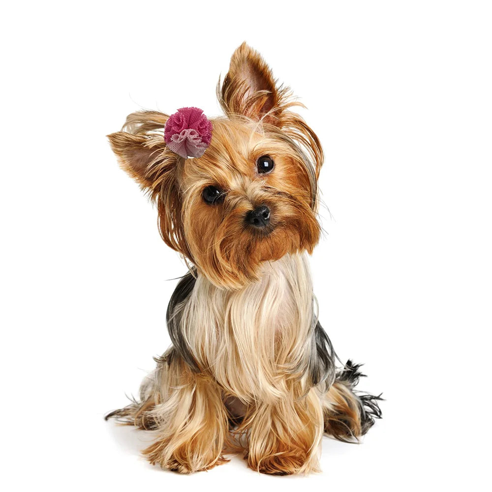 50/100PCS New Pet Dog Hair Bows Mesh Ball Bows Pet Hair Accessories Rubber Bands Pet Supplies Pet Dog Grooming Accessories
