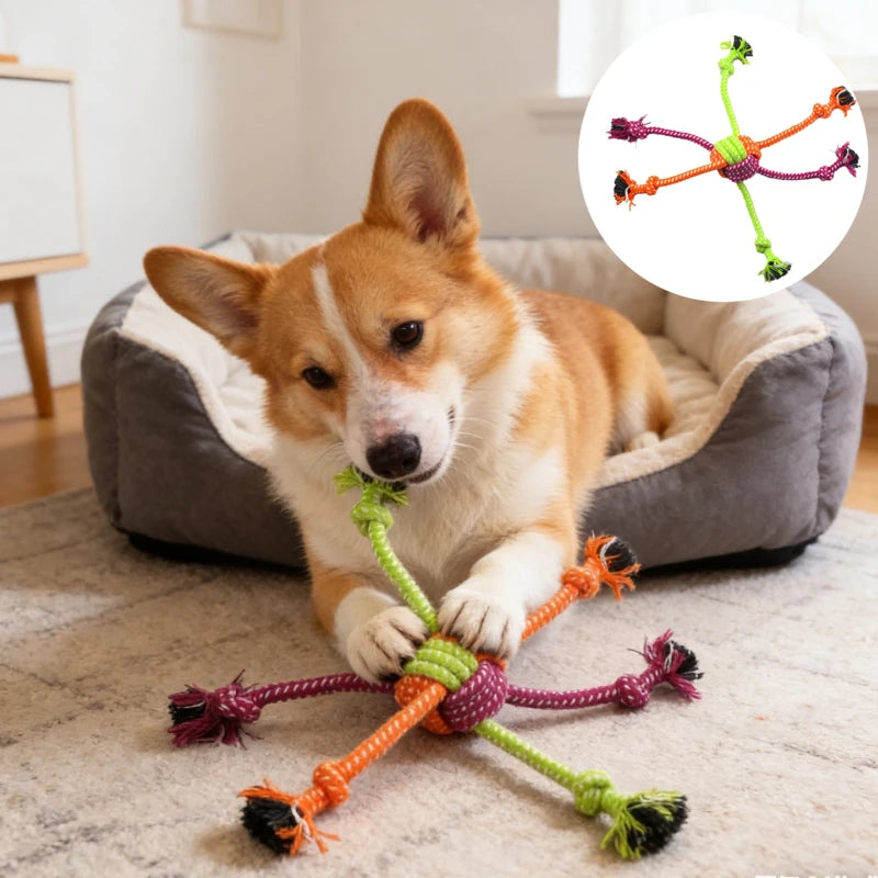 Dog Puppy Teeth Cleaning Interactive Toy Bite Rope Toy Pet Wear-Resistant Cotton Knot Chewing and Bite Resistant Pet Supplies