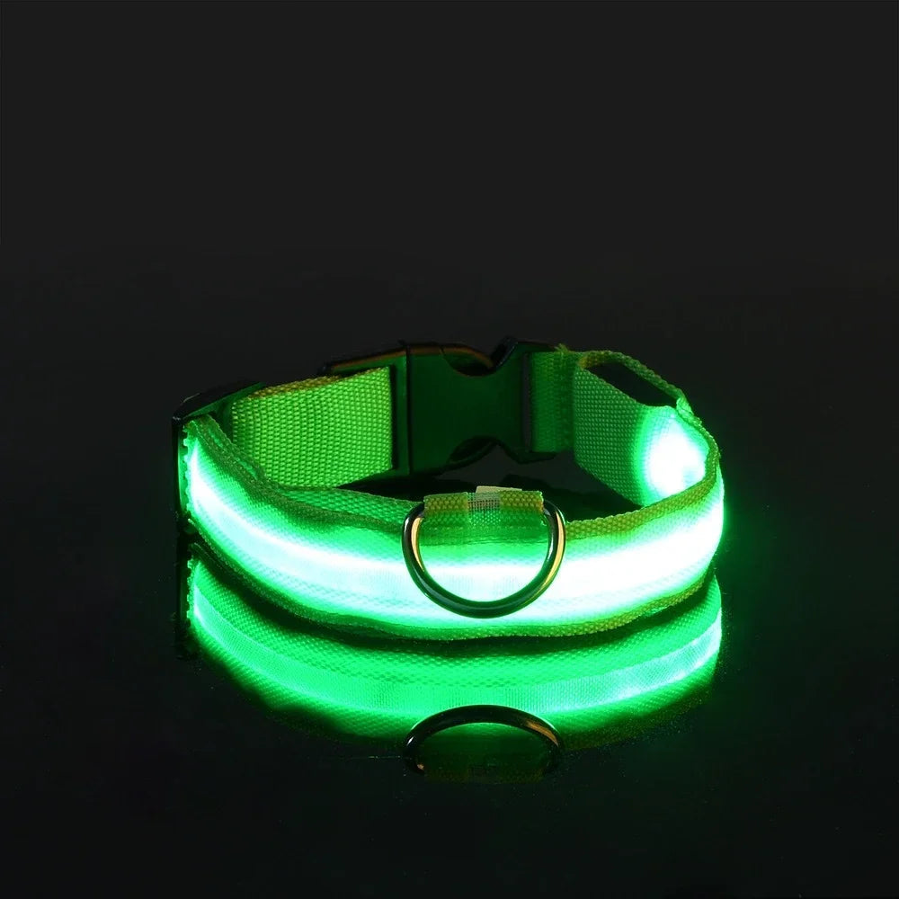 Dog Collar Nylon LED Night Safety Flashing Glow In The Dark Pet Dog Leash Pet Dogs Luminous Fluorescent Dog Accessories Collar