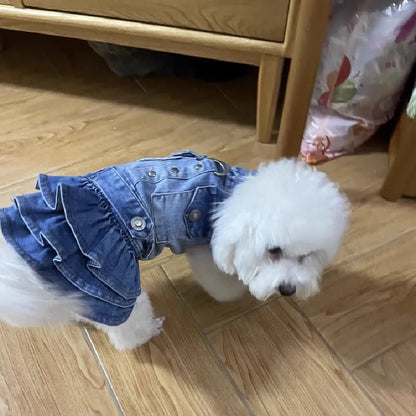 Winter Dog Clothes Denim Jeans Dress Doggie Puppy Chihuahua Pomeranian Shih Tzu Maltese Small Dog Costume Pet Clothing Apparel