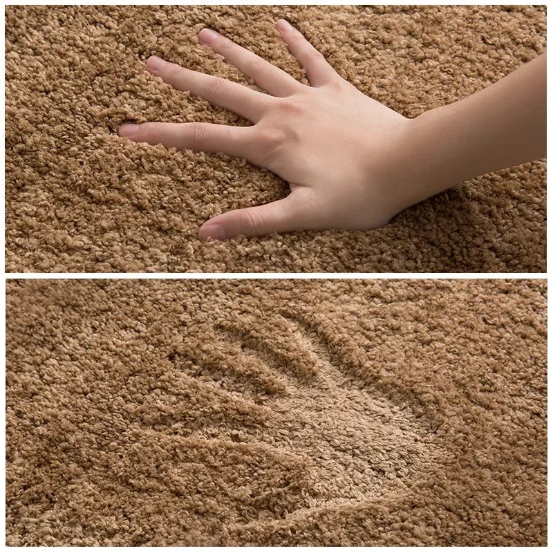Absorbent Non - slip Floor Mats, Door Mats for Bathroom, Hall, Living Room, Home Decoration Carpets