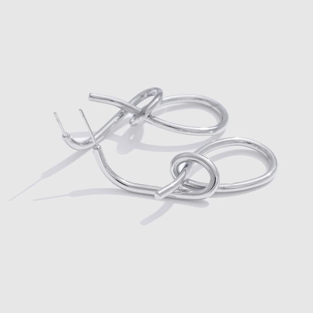 NiNice Popular Stainless Steel Geometric Unusual Earrings Stylish Unique Water Resistant Metal Versatile Daily Jewelry