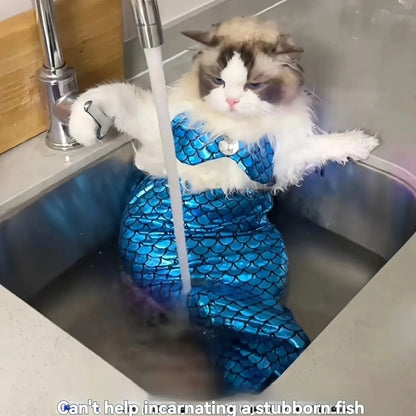Pet cat mermaid clothing funny styling shooting props swimsuit bikini clothing human tail clothing