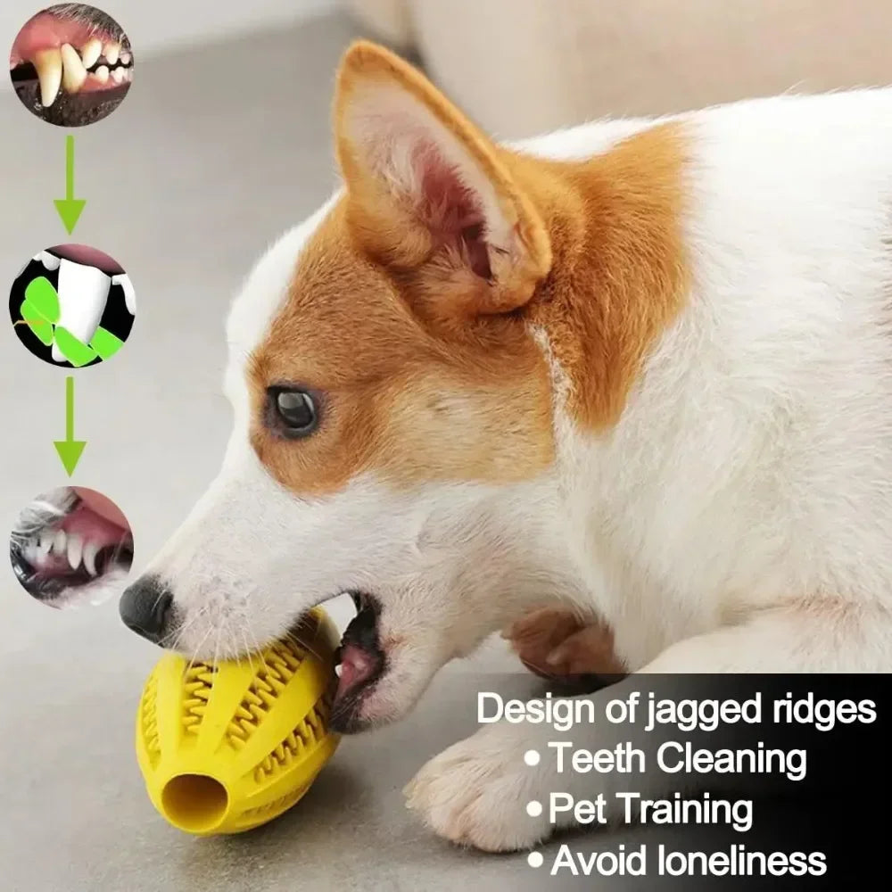 Pet Dog Toys Chew For Dogs Toy Teeth Cleaning Snack Ball Natural Rubber Super Hard Pets Products Accessories Supplies Home
