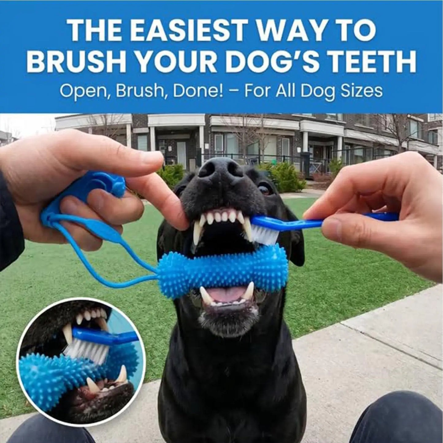 Dog Teething Toys Chewer Sticks Mouth Opener Pet Supplies Dog Chewing Toy for Pet Puppy Small Medium Large Breeds Home Travel