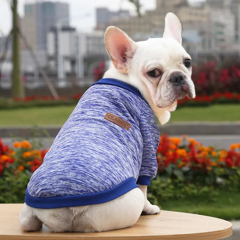 Cute Dog Clothes for Small Dogs Soft Pet Dog Sweater Clothing for Dog Winter Chihuahua Clothes Classic Pet Outfit Accessories