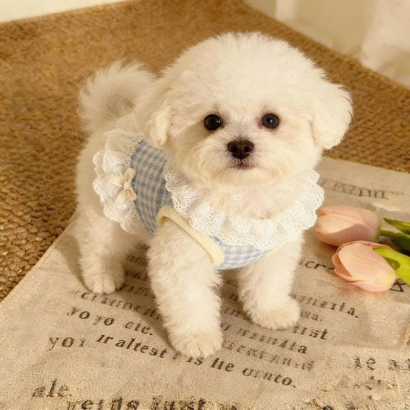 Pet Spring/summer New Cat And Dog Clothes Breathable Comfortable Cute Princess Style Bow Lace Skirt For Small Dogs Teddy Bears
