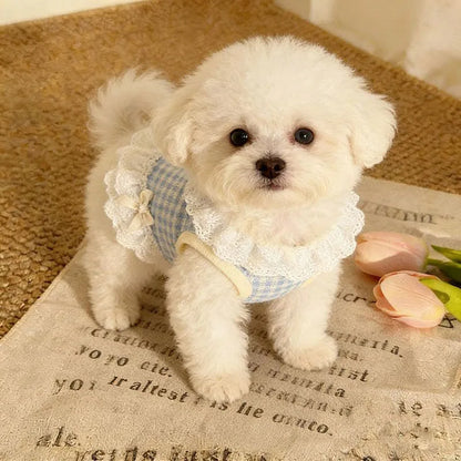 Pet Spring/summer New Cat And Dog Clothes Breathable Comfortable Cute Princess Style Bow Lace Skirt For Small Dogs Teddy Bears