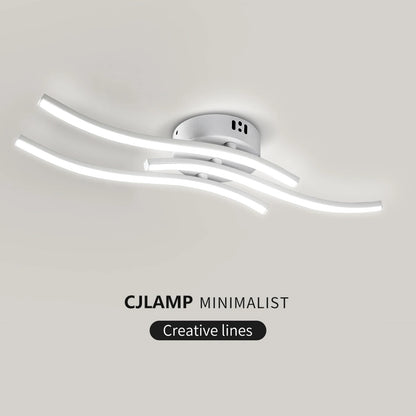 LED Ceiling Light, Dimming Light, Living Room, Bedroom, Dining Room, Corridor, Indoor Home Decoration Lighting