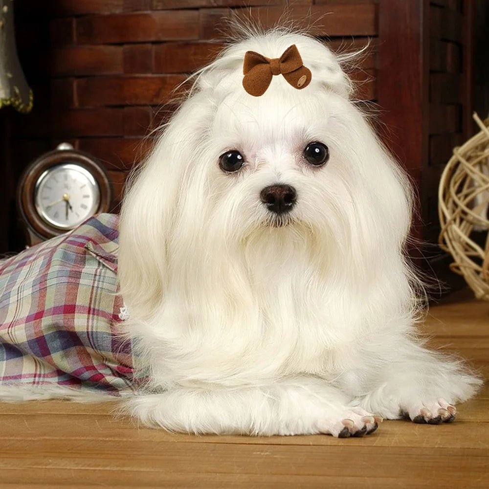 10PCS 2025New Dog Hair Accessories Brown Style Dog Bows With Rubber Bands Handmade Puppy Bowknots Pet Supplies For Dogs