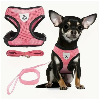 New style dog walking and cat chest strap outdoor traction rope explosion-proof and breathable chest back pet supplies